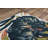 Azisa Floral Indoor Rug-1292442012