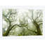 « green fire », reproduction de photo sur toile-30306039-72560983-72560990