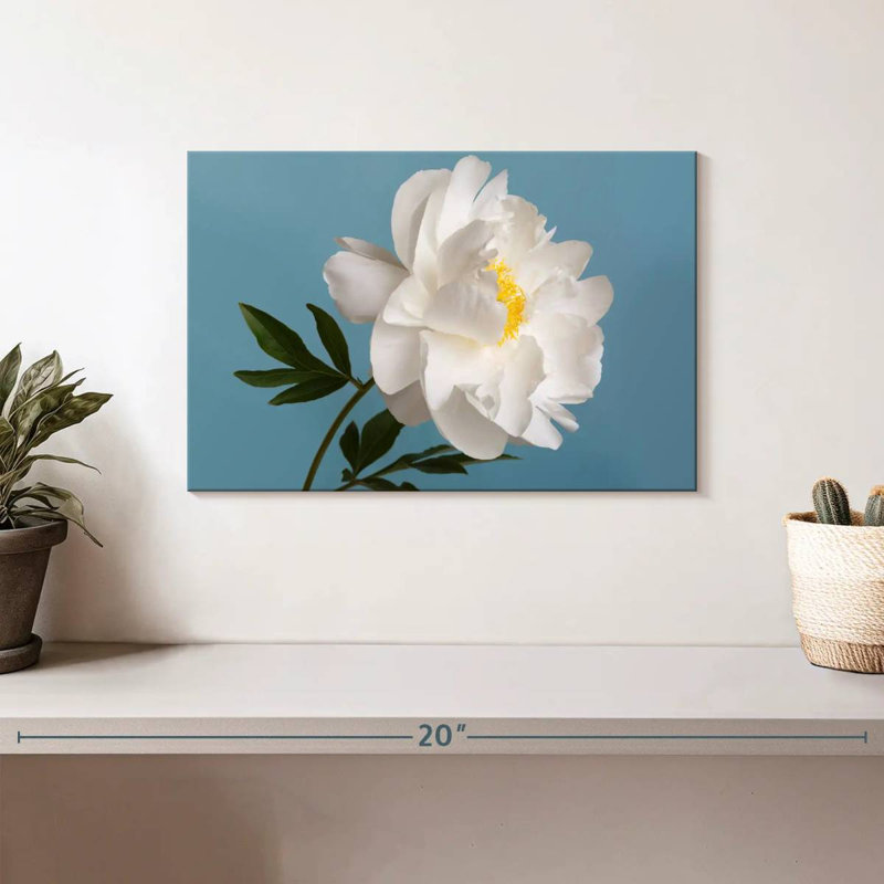 Fleur de pivoine blanche Harnek