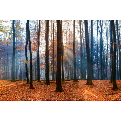 «Autumn Feel» - Photographie sur toile tendue