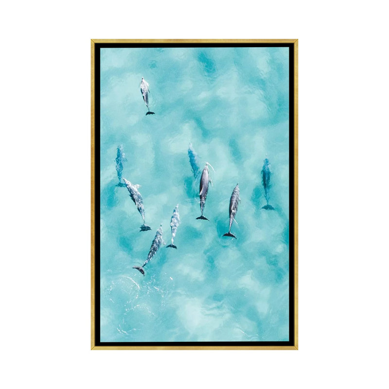 Reproduction d’art, "Cruisy Dolphins III" par Jaxon Roberts, Toile encadrée d'or, Pas de tapis, H 26 po x l 18 po x 1,5 po