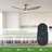 Armillda 56'' Ceiling Fan with LED Lights