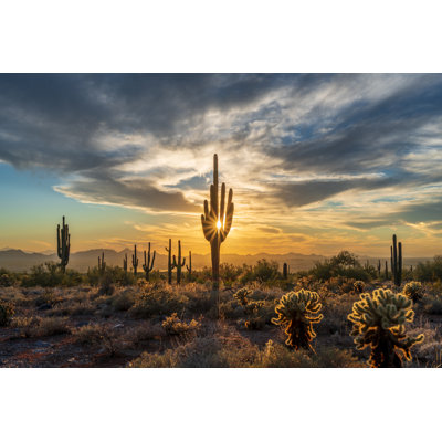 " Saguaro Sunset Silhouette " by Eric Mischke