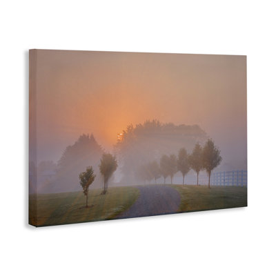 «Grove Path at Sunset» par Marty Hulsebos