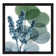 Lilly Of Eucalyptus I by Albert Koetsier - Floater Frame Print on Canvas