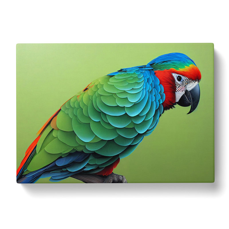 Colourful Parrot Vol.1 - Wrapped Canvas, 35cm H x 50cm W x 3cm D