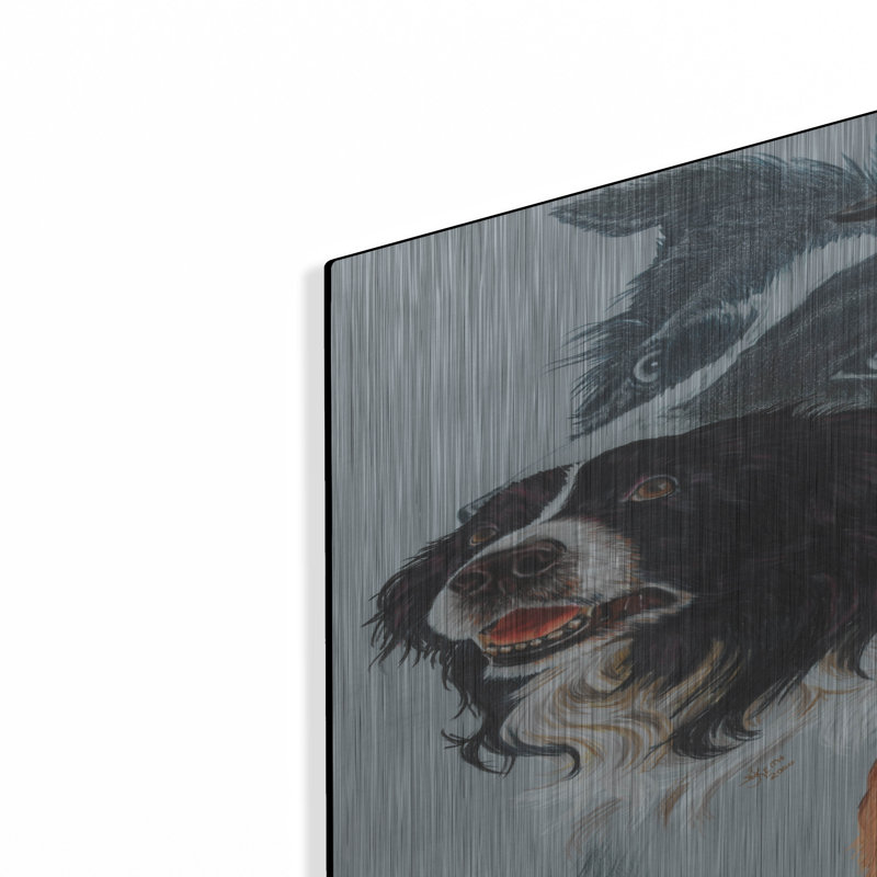 "Boarder Collie" par Barbara Keith, H 36 po x l 24 po