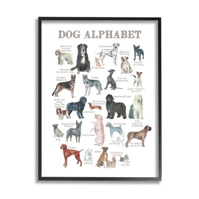 Chien, alphabet multiple, tableau éducatif, giclée, art texturé