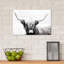 Highland Longhorn by Danita Delimont - Print on Canvas-1148486404-1172184302