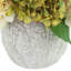 Hydrangeas Arranged in Round Stone Pot