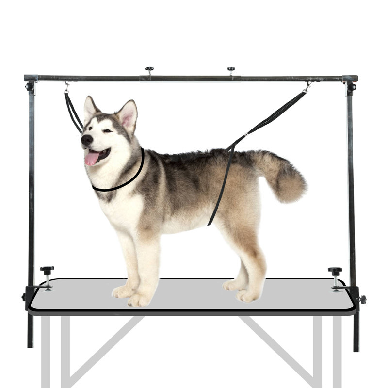 32'' H x 54'' W x Metal Adjustable and Foldable Dog Table Accessory