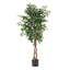 Ficus artificiel-158562944