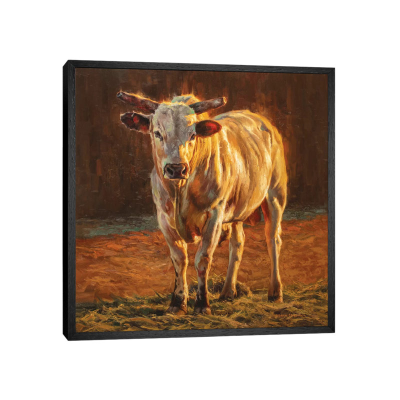 Rodeo Gold - Print on Canvas, 93.98cm H x 93.98cm W x 3.81cm D, Black Framed