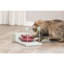Jeu de stratégie pour chats, jouet de puzzle, distributeur de friandises, jouet d'enrichissement