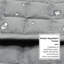 3 Seater Furniture Protector-1876783547
