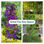Abellas-Bauzo 2pc Steel Trellis-115503346