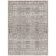 Khan Area Rug CSI2301