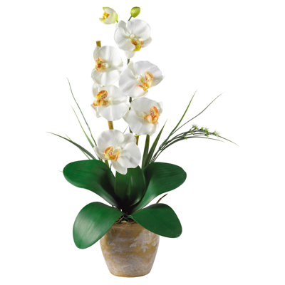 Arrangement floral orchidée en soie phalaenopsis en pot