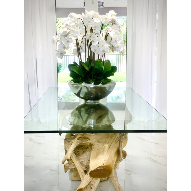 Multiple Stems of Phaleanopsis Orchids Centerpiece in Planter, White