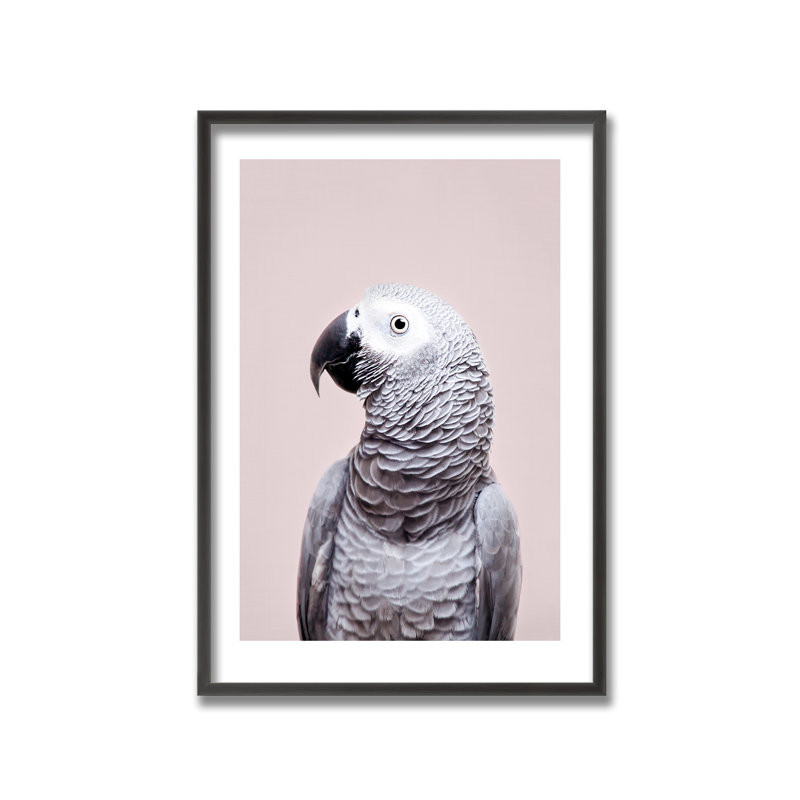 «African Gray» par Kathrin Pienaar - reproduction de cadre photo sur bois, L 32 po x H 48 po