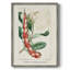 «Turpin Tropical Botanicals», reproduction encadrée en bois massif-1488420038