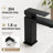 Single Handle Bathroom Faucet with Drain Assembly
