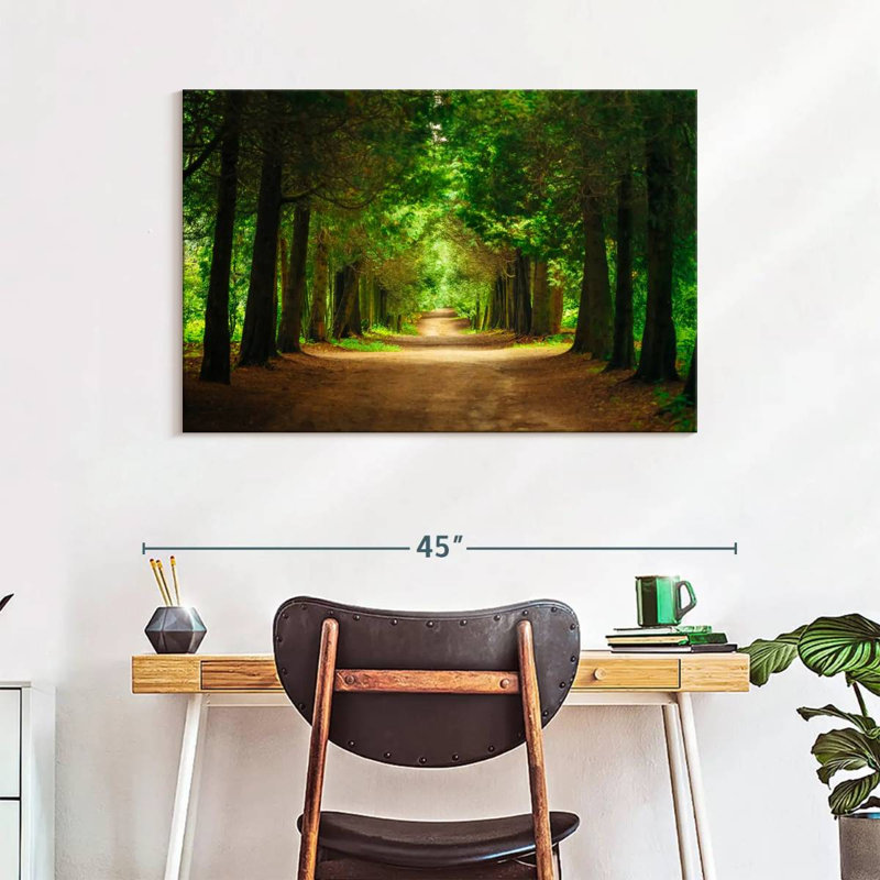 Sireci Park Tunnel Trees