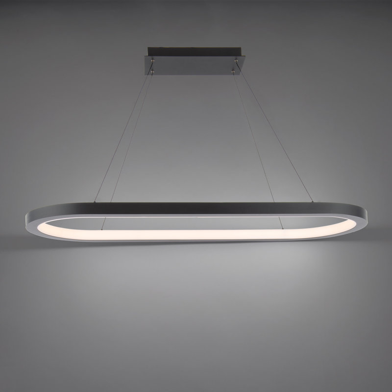 Modern Black Aluminum LED Racetrack Pendant Light