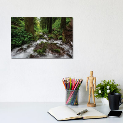 Soft Moving Stream Through A Canyon Of Forest by Sheila Haddad - Wrapped Canvas Print
