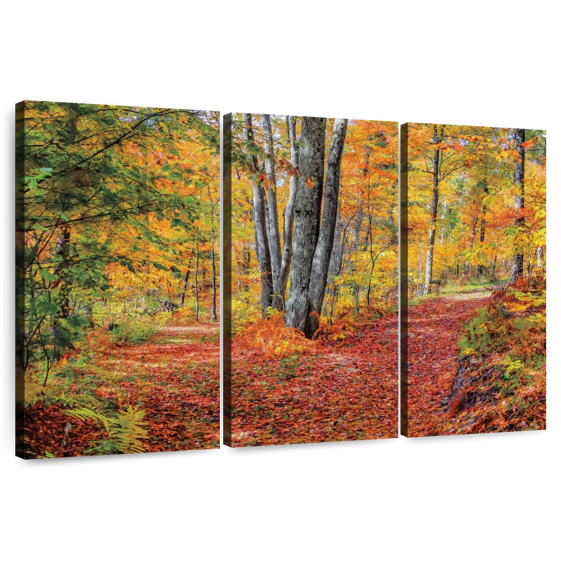 Alvord Autumn In The Woods, 36" H x 57" W