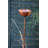 Koschwanez Decorative Bird Feeder