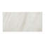 Famed 12 X 24 Iconic Matte