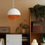 Luminaire suspendu
