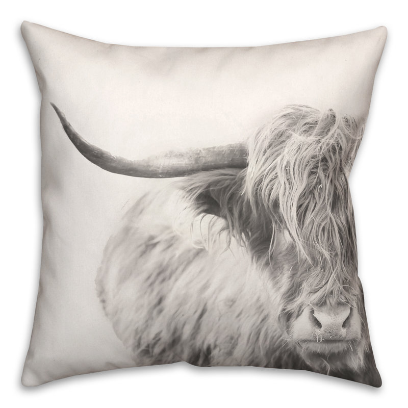 Coussin intérieur / extérieur Highland Cow, H 18 po x l 18 po, Carré
