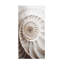 «Murcia Ammonite», impression sur toile-90734132