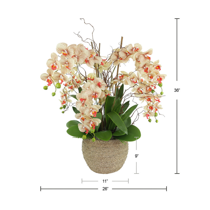 Orchid and Curly Willow in Decorative Rope Pot