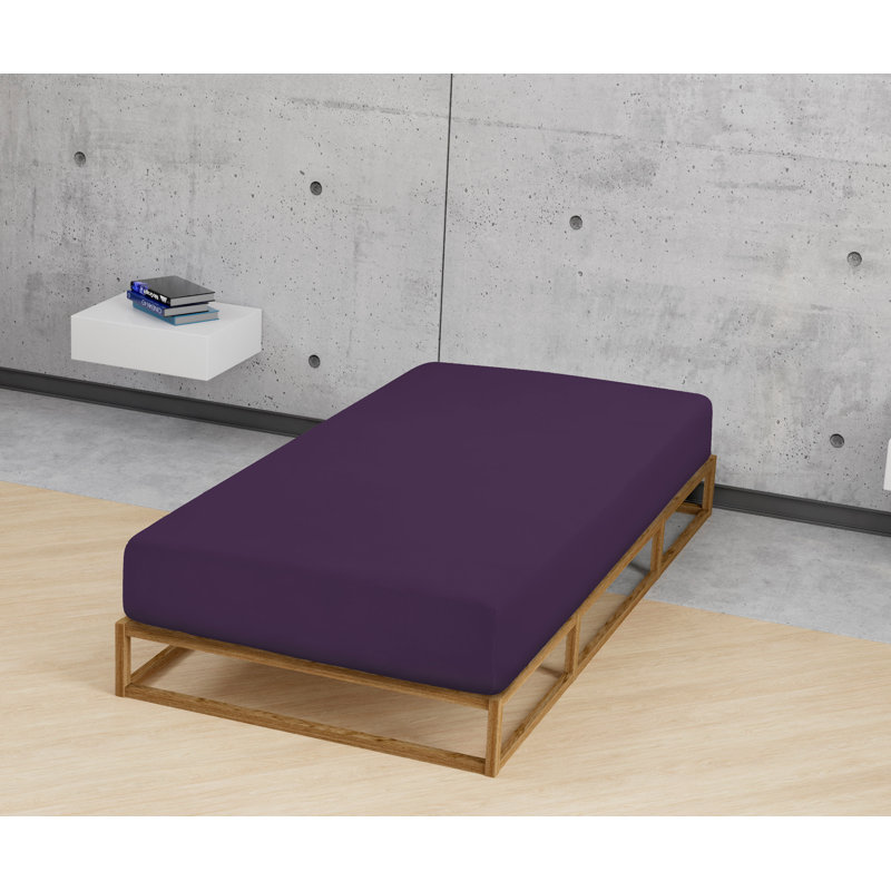 Fine Plain 165 Thread Count 100% Cotton Fitted Sheet, European Double (140 cm x 200 cm), Dark Violet