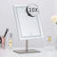 Bartonville Metal Floor Mirror