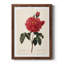 Red Botanical III - cadre photo, impression sur toile-61317223-61317231