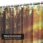Rideau de douche Forest Dawn-2114968759