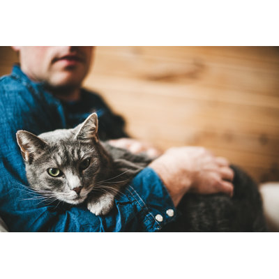 «Man and His Grey Cat» par Knape