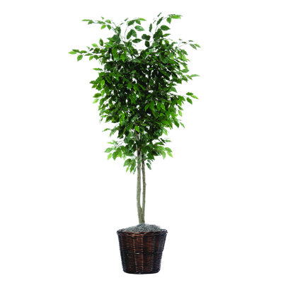 72'' Faux Tree in Wicker/Rattan Basket