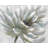 White Chrysanthemum Polyester Eiver Set of 6 - Home Decor