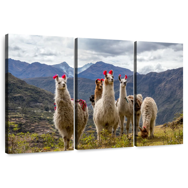 Lares Llamas, 32" H x 50" W