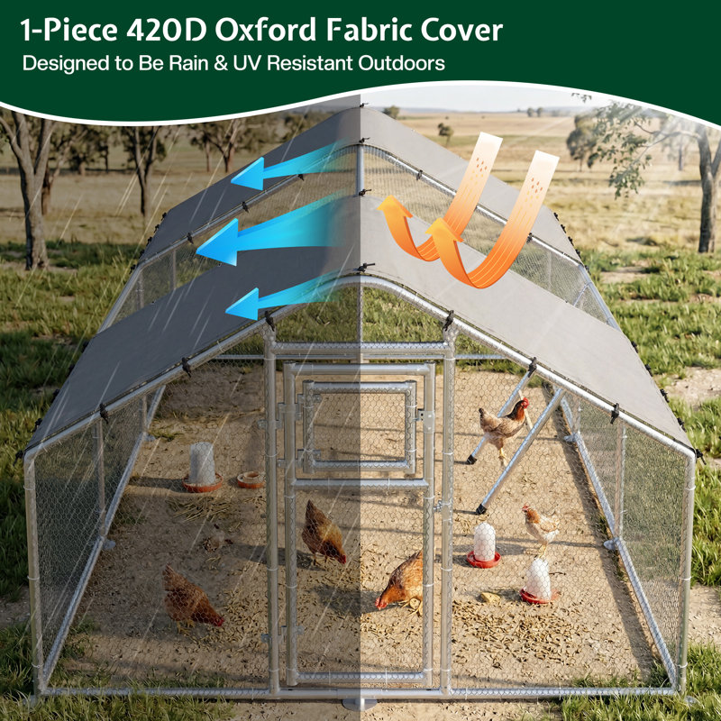 Très grand poulailler de plain-pied 20 po x 10 pi, poulailler avec couvercle Spire, conception à une porte, porte d'alimentation, échelle de repos, structure en acier galvanisé