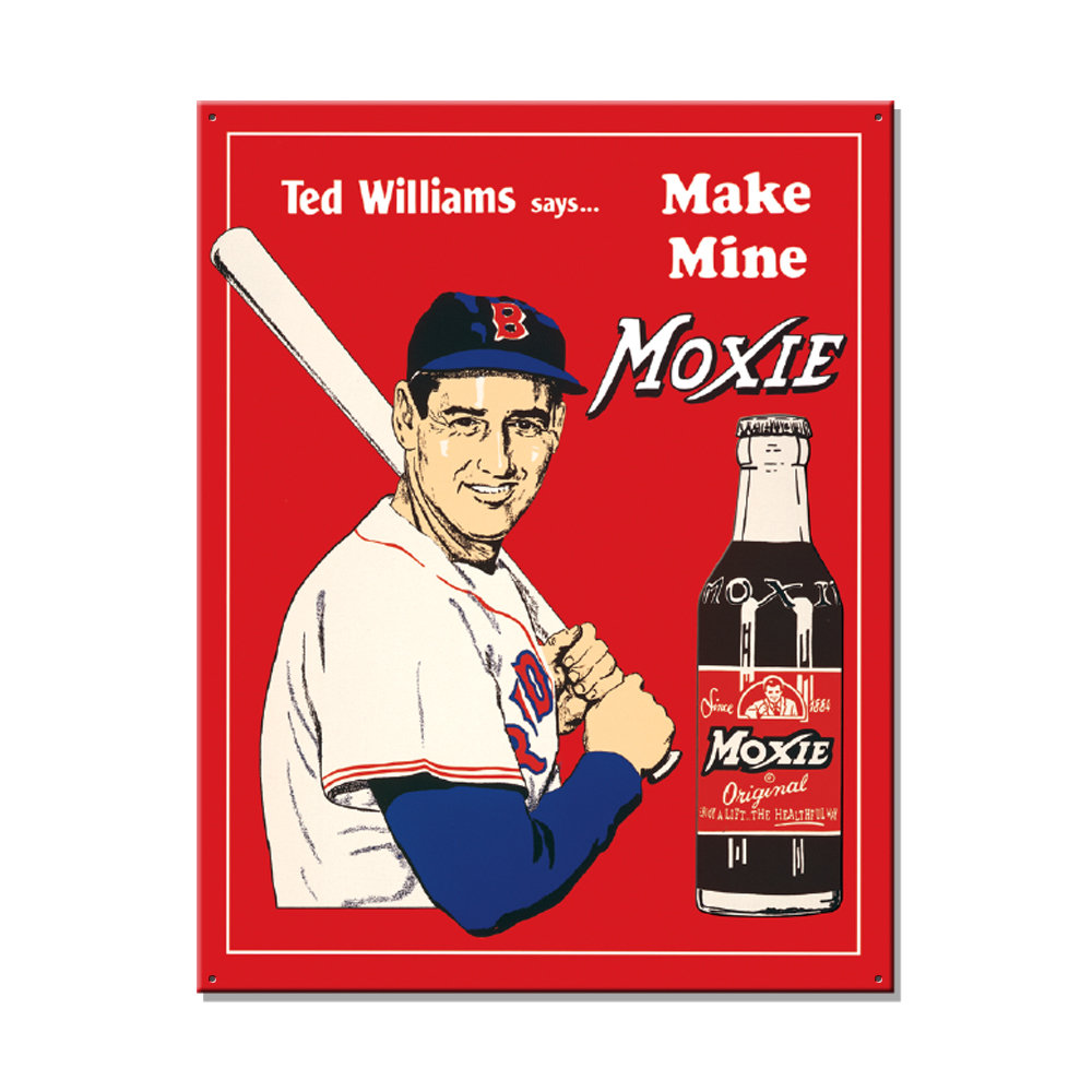 Desperate Enterprises Ted''s Moxie Metal Sign | Wayfair