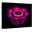 «Abstract Magenta Fractal Flower», reproduction d'impression sur toile tendue-63568067
