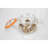 Glass Canister - Set of 4