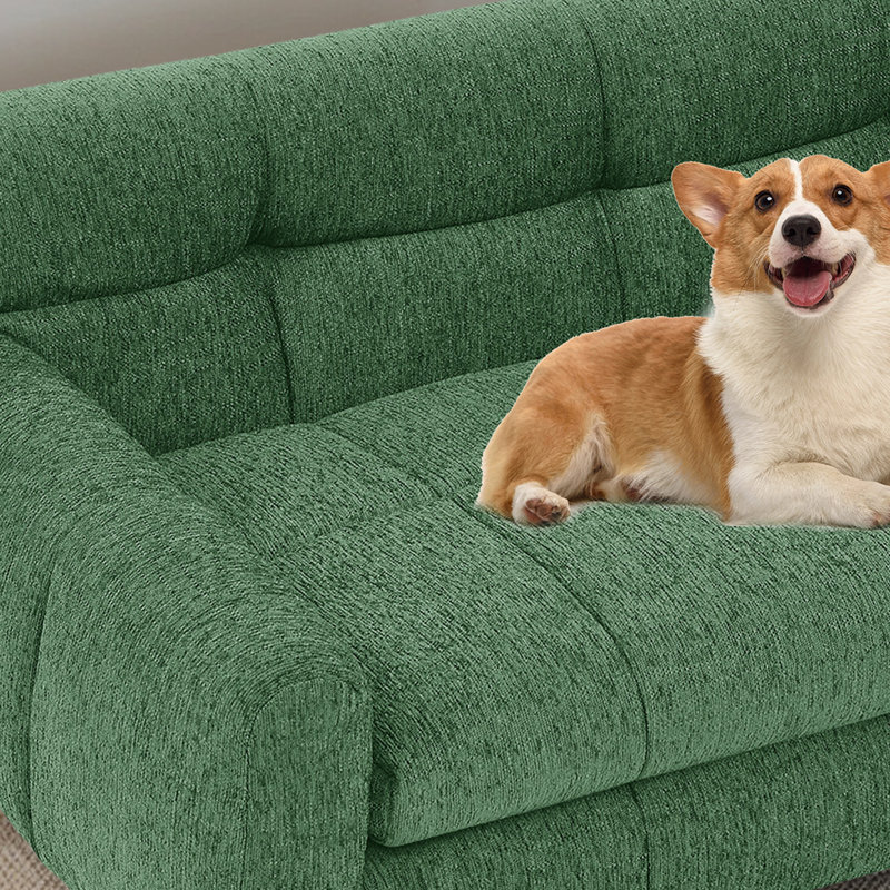 Canapé pour animaux de compagnie , Vert