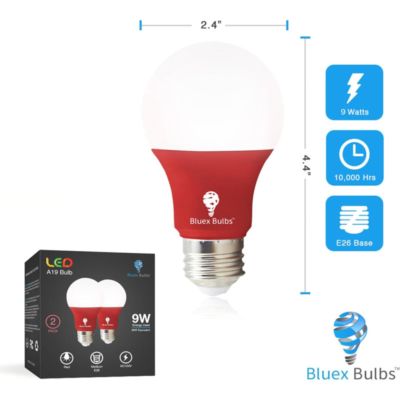 Light Bulbs